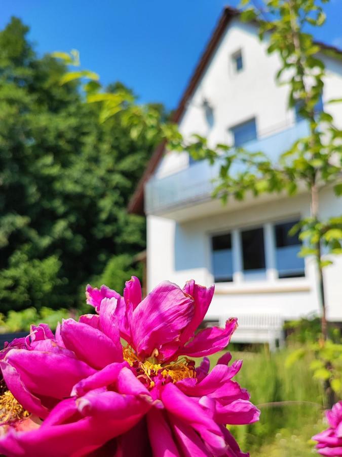 Muhrbach Villa Weier ภายนอก รูปภาพ